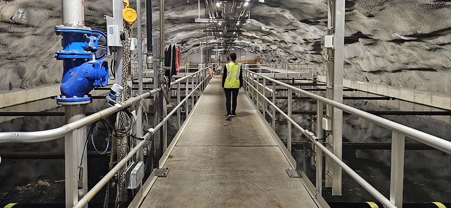 20230526_092222 copy900.jpg