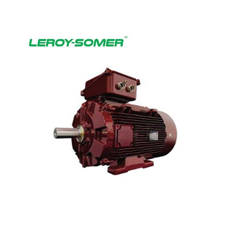 Dyneo® permanent magnet motors Leroy-Somer
